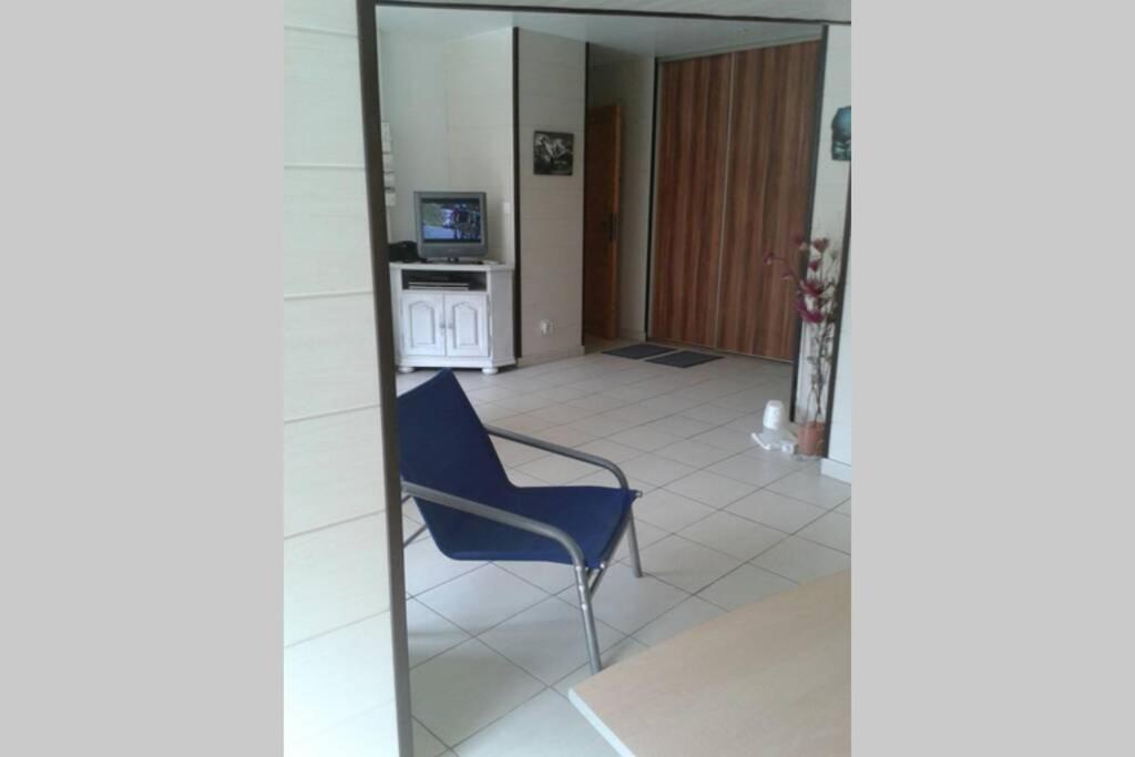 Cure Thermale Ou Vacances D'Ete Au Mont Dore 外观 照片